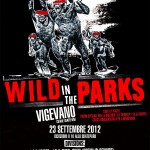 Volcom Wild in the Park